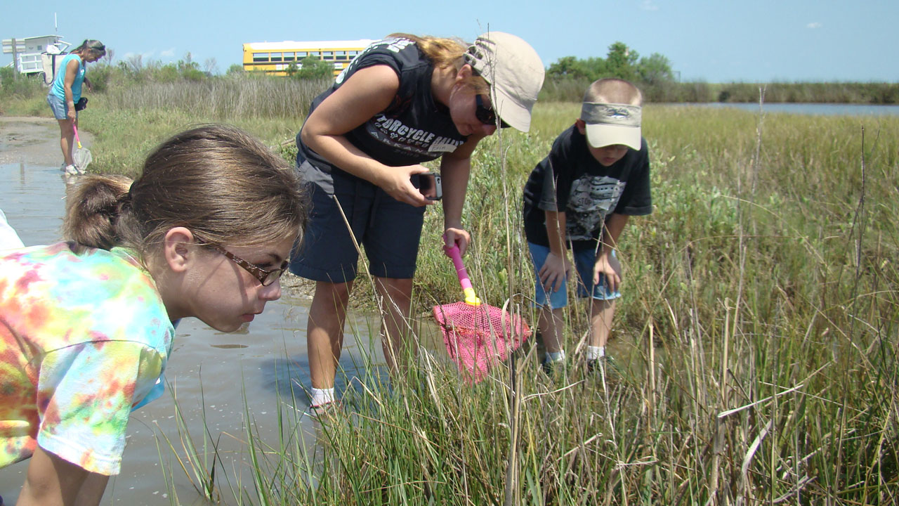 An adult and two children with nets peer into water of the salt marsh.